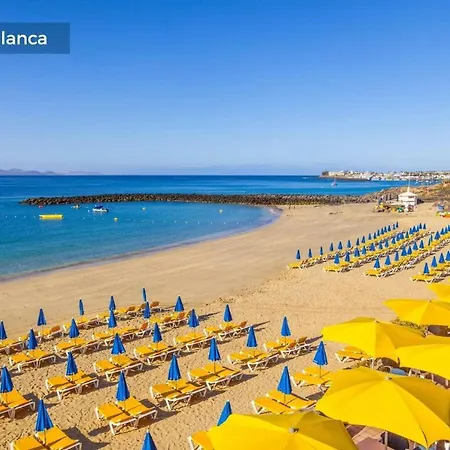 فيلة Callao *